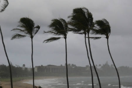 Prepare Your Home For Hurricane Season